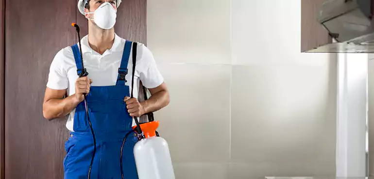 Why Chattanooga Homeowners Choose Us When Pests Make Selling Difficult