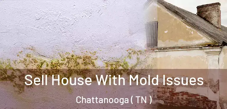  Sell House With Mold Issues Chattanooga ( TN )